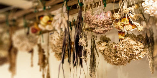 How to Dry Flowers Naturally: Easy Methods for Beautiful Results
