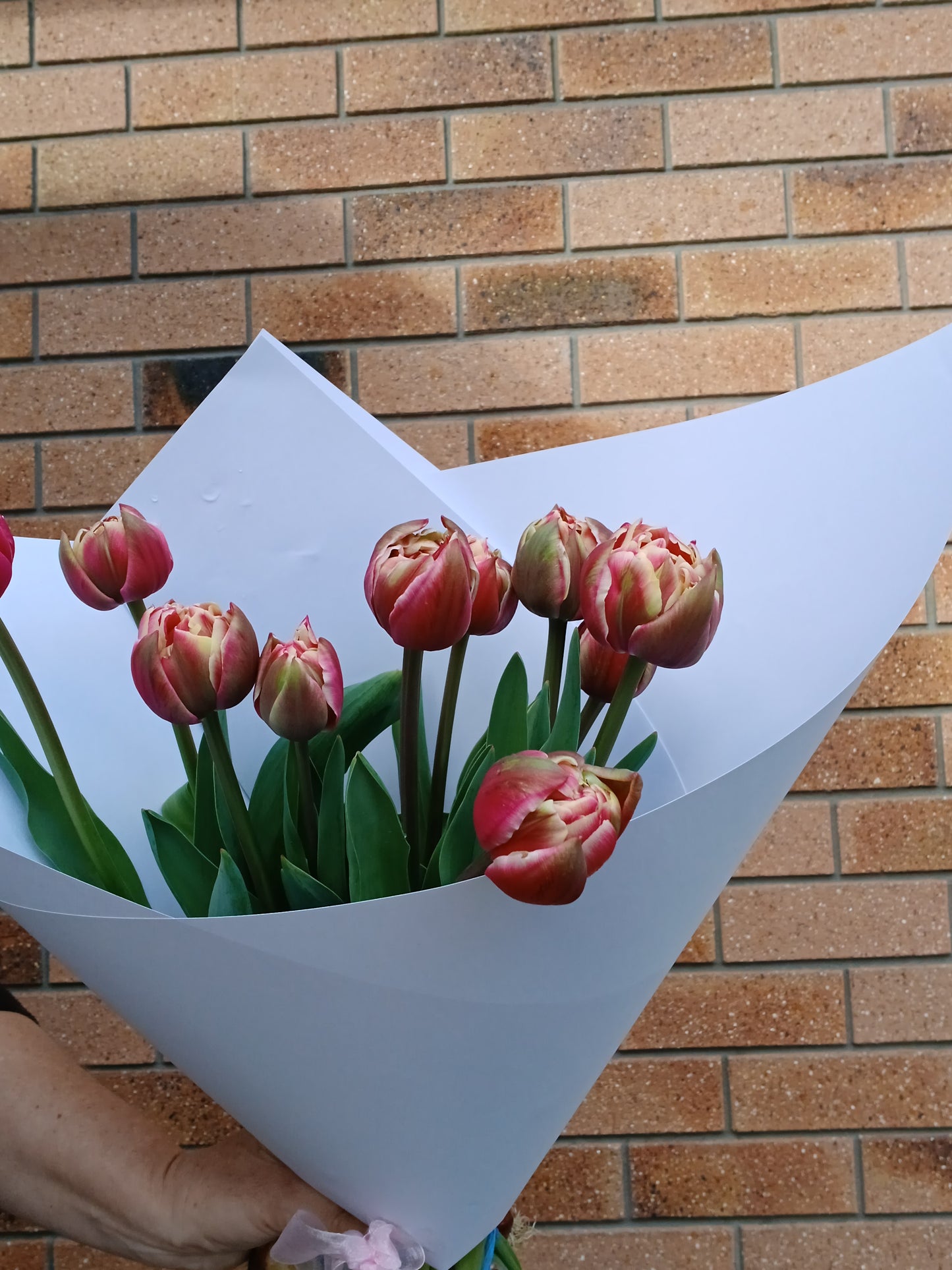 Tulip Bouquet - Peony variety