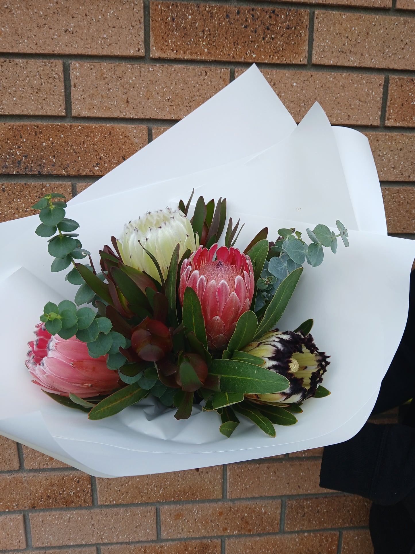 Mother's Day Protea Bouquet