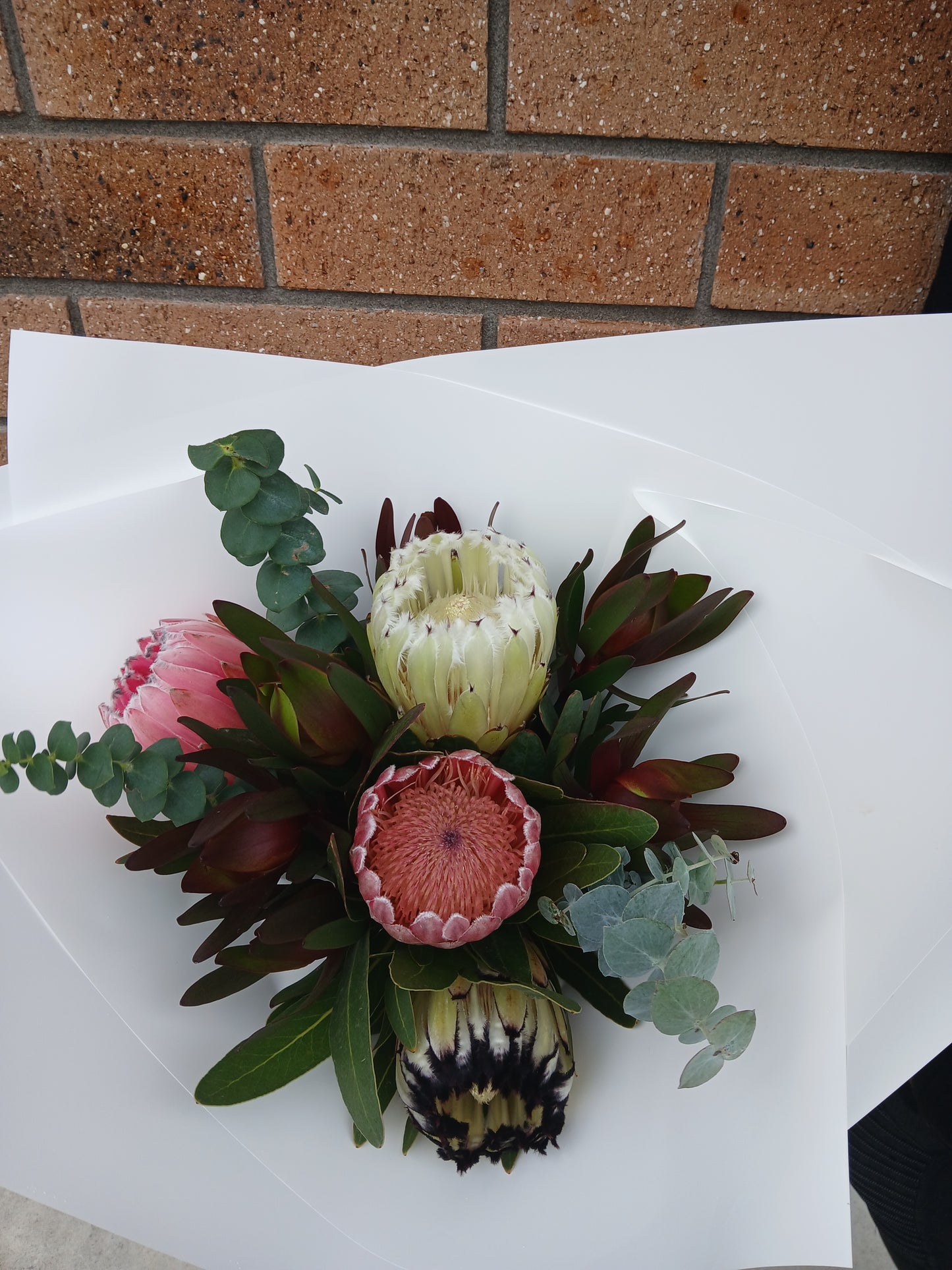 Mother's Day Protea Bouquet