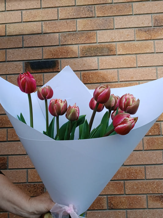 Tulip Bouquet - Peony variety