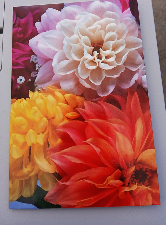 Any Occasion Card